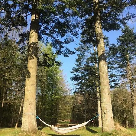 Beautiful In W * Års