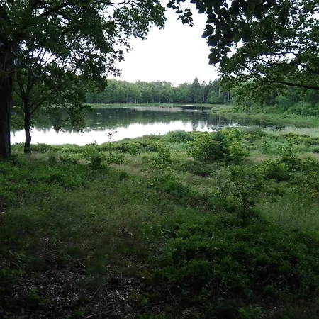 Beautiful In W * Års